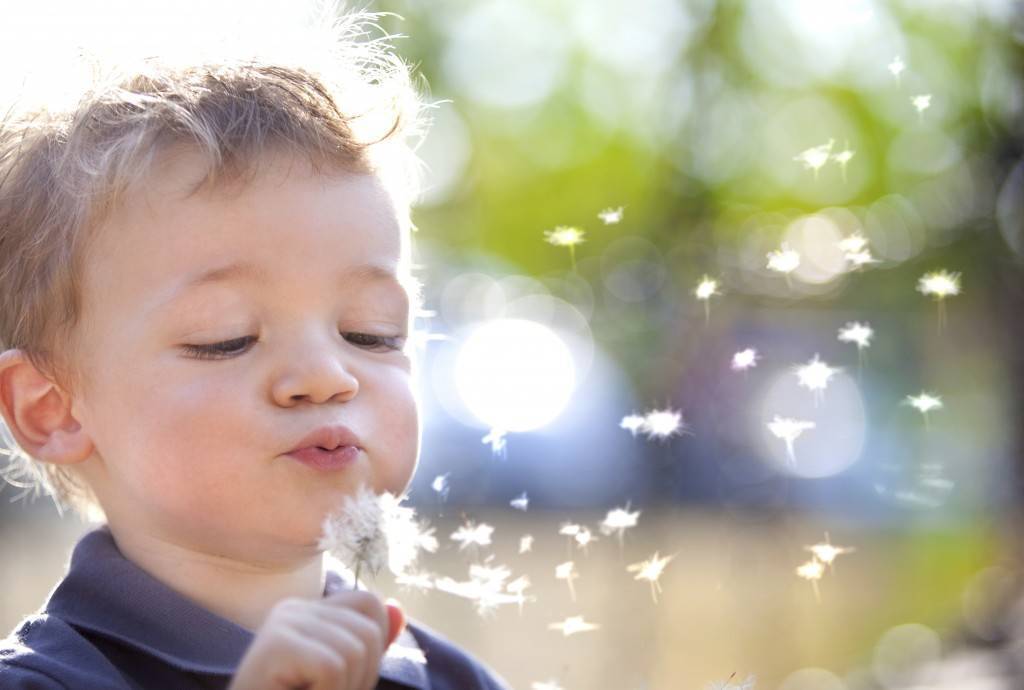 iStock_000010467139_Large-1024×690 young boy blowing on a dandelion