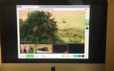 Monkey See, Monkey Do: Kid Friendly Scientific Data Collection