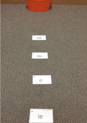 Take Sight Word Practice Outside