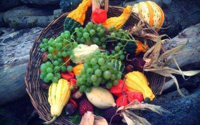 Thanksgiving with a Picky Eater-5 Tips and Tricks