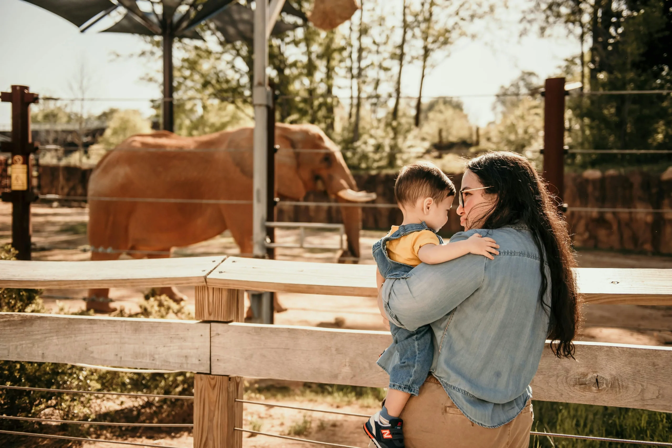 day at the zoo women holds toddler outside of elephant exhibit